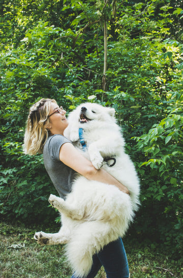 Say Goodbye to Messy Mealtimes: Best Feeding Accessories for Pets